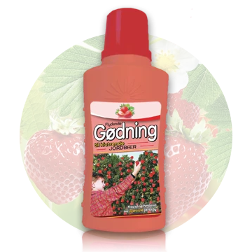 Flytande växtnäring för klättrande jordgubbar